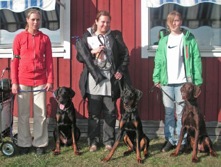 Elli, Titti och Emy med sina respektive hundar
